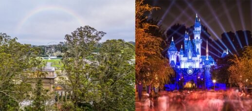 LEFT: An aerial shot of trees at Disneyland during the day. RIGHT: The Disneyland castle lit up at night.