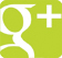 Google-Plus-Icon