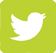 Twitter-Icon