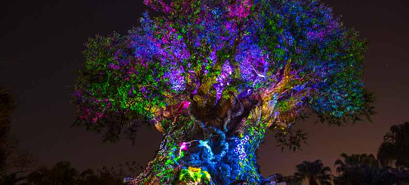Tree-of-Life-at-Night