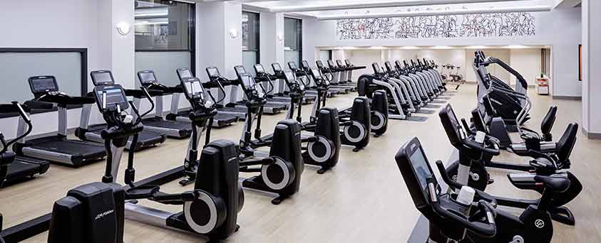 marquis_843x342
