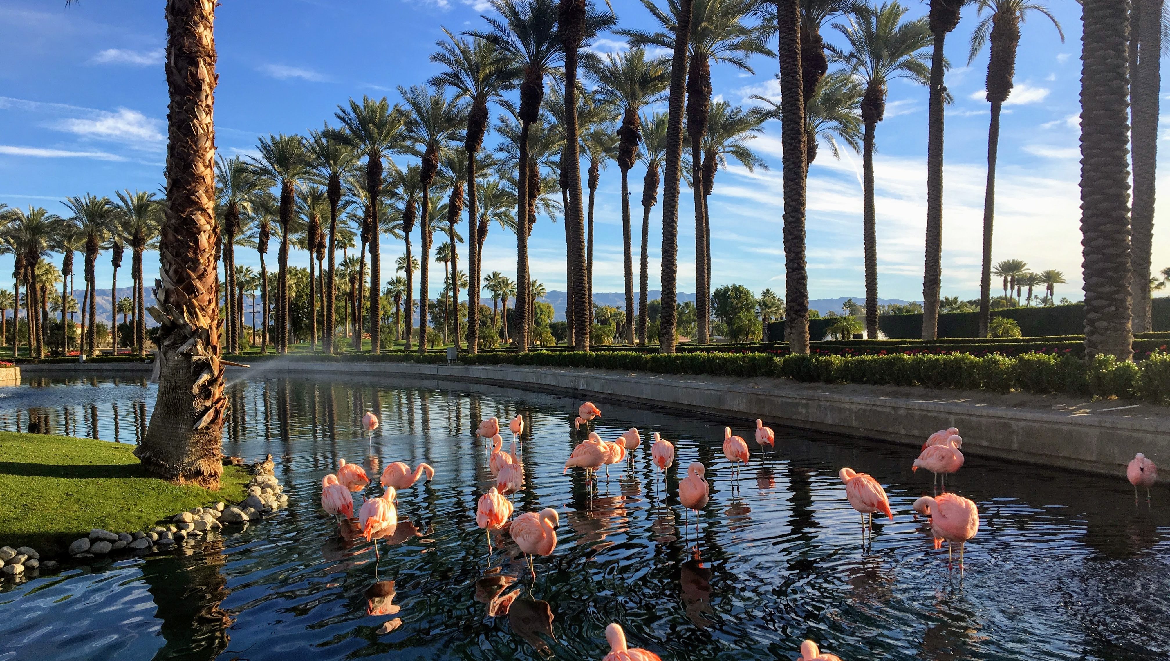 greater palm springs
