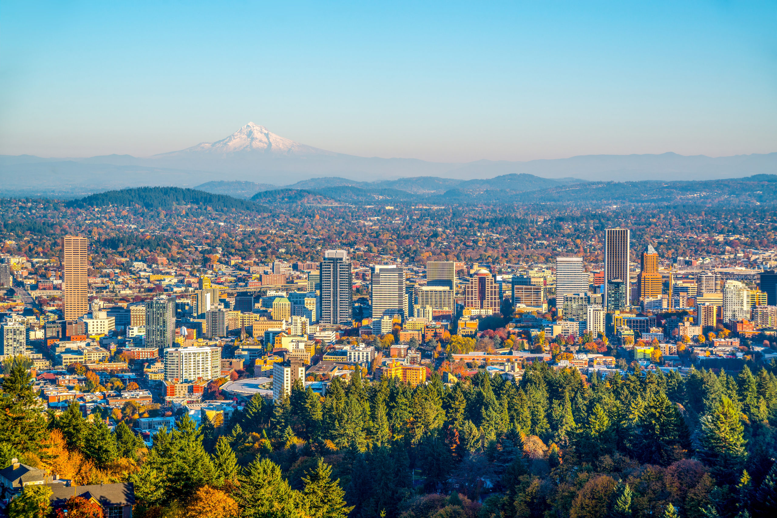 portland new rooms
