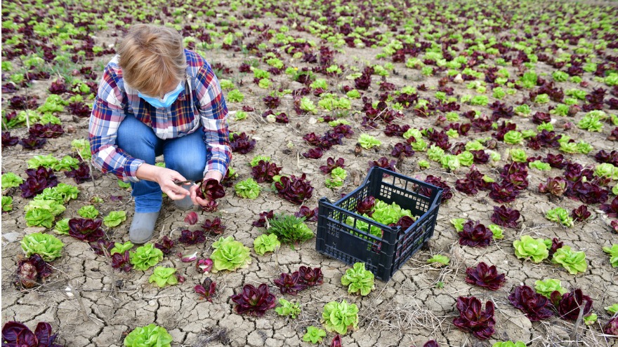 sustainability