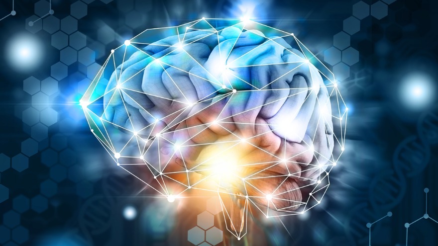 behavioral science