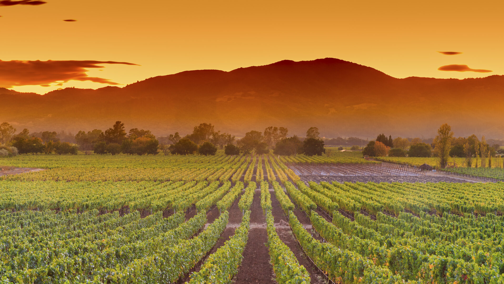 napa and sonoma