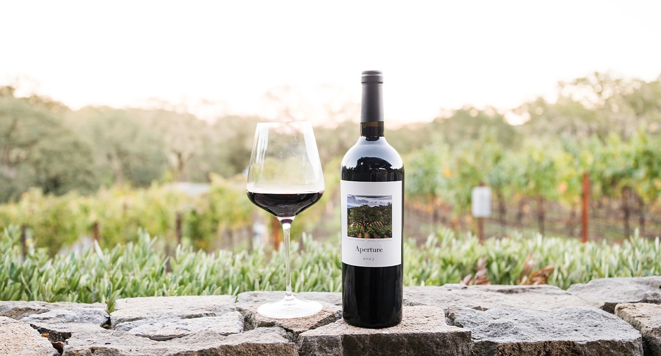 Wine bottle and glass