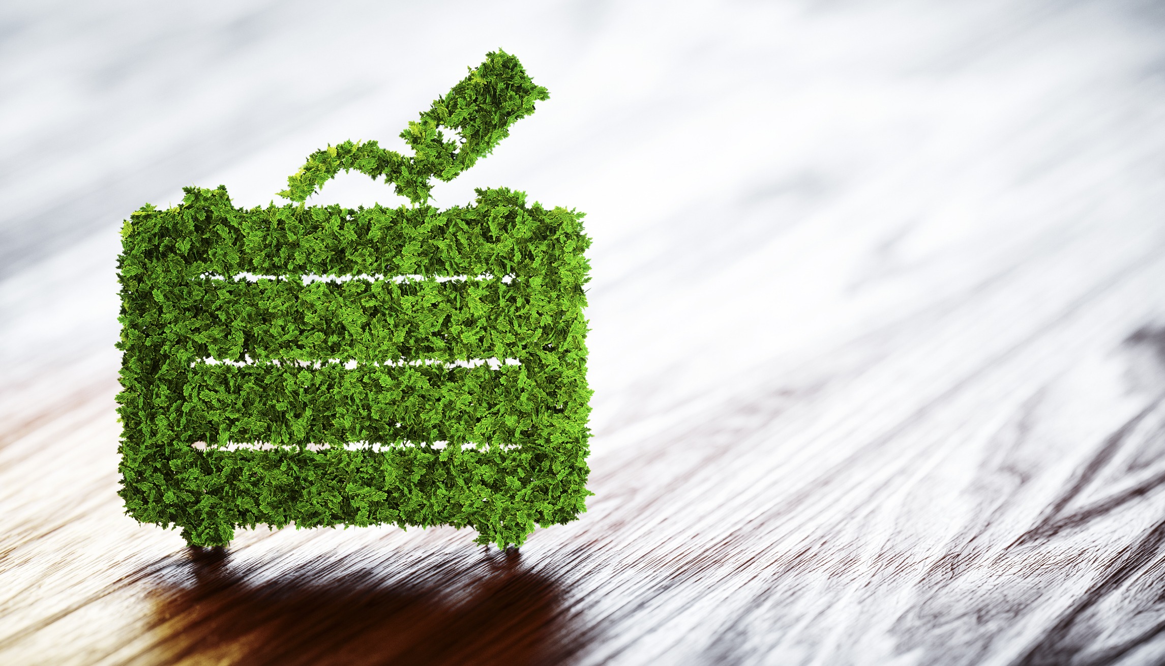 A suitcase made of leaves to emphasize sustainability in travel