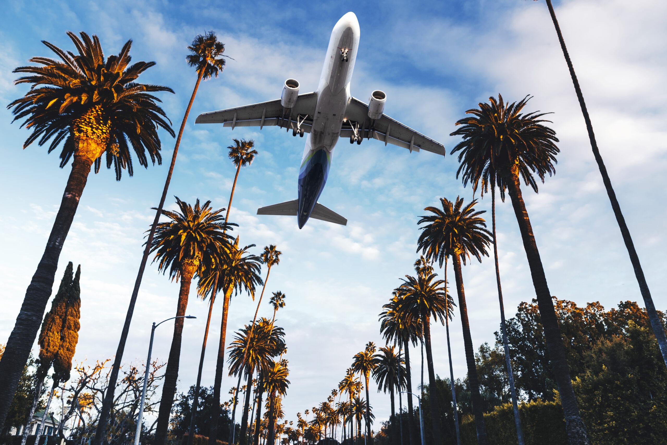 ground level view of airplane flying over city