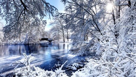 Winter in Boston's Franklin Park with icy river and snow covered trees