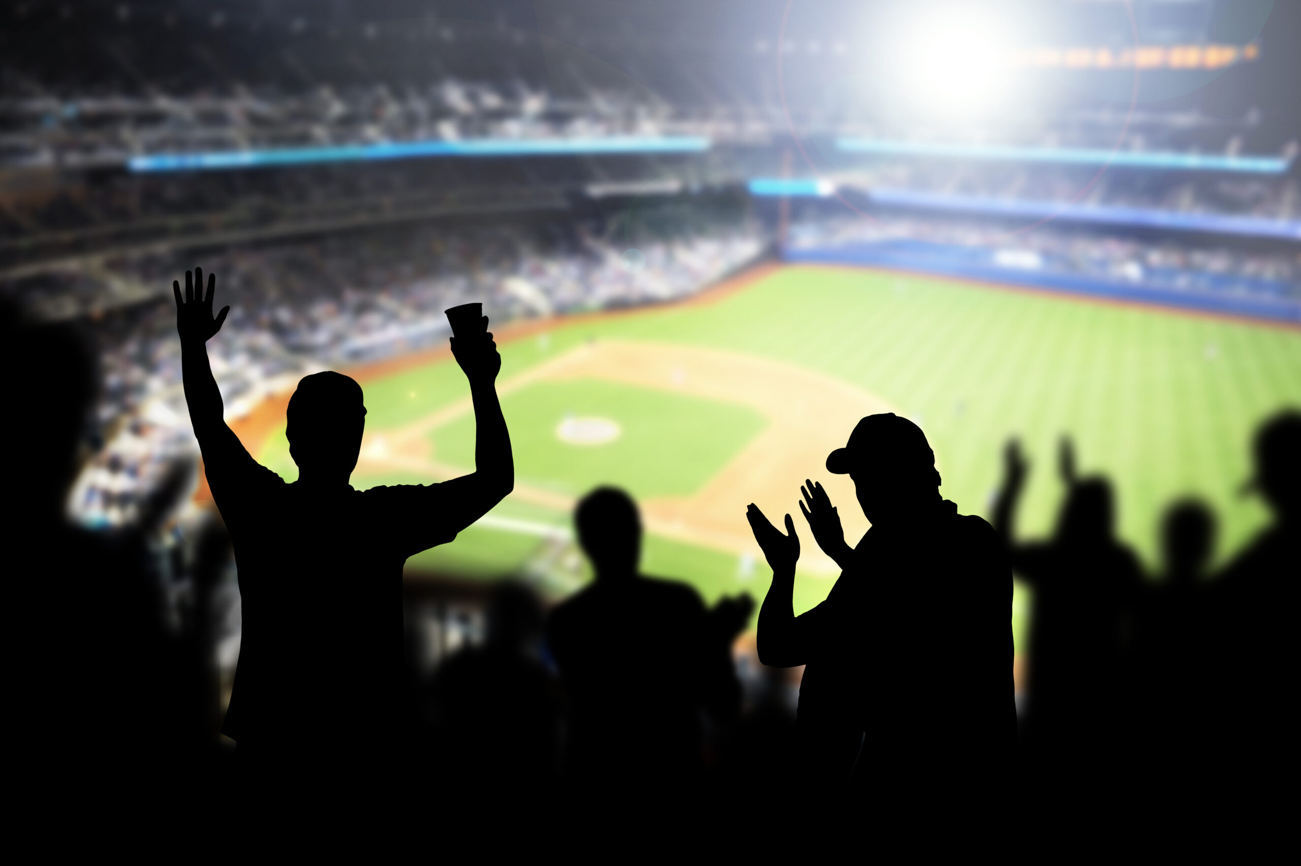 shot from top of stands of fans cheering on baseball game