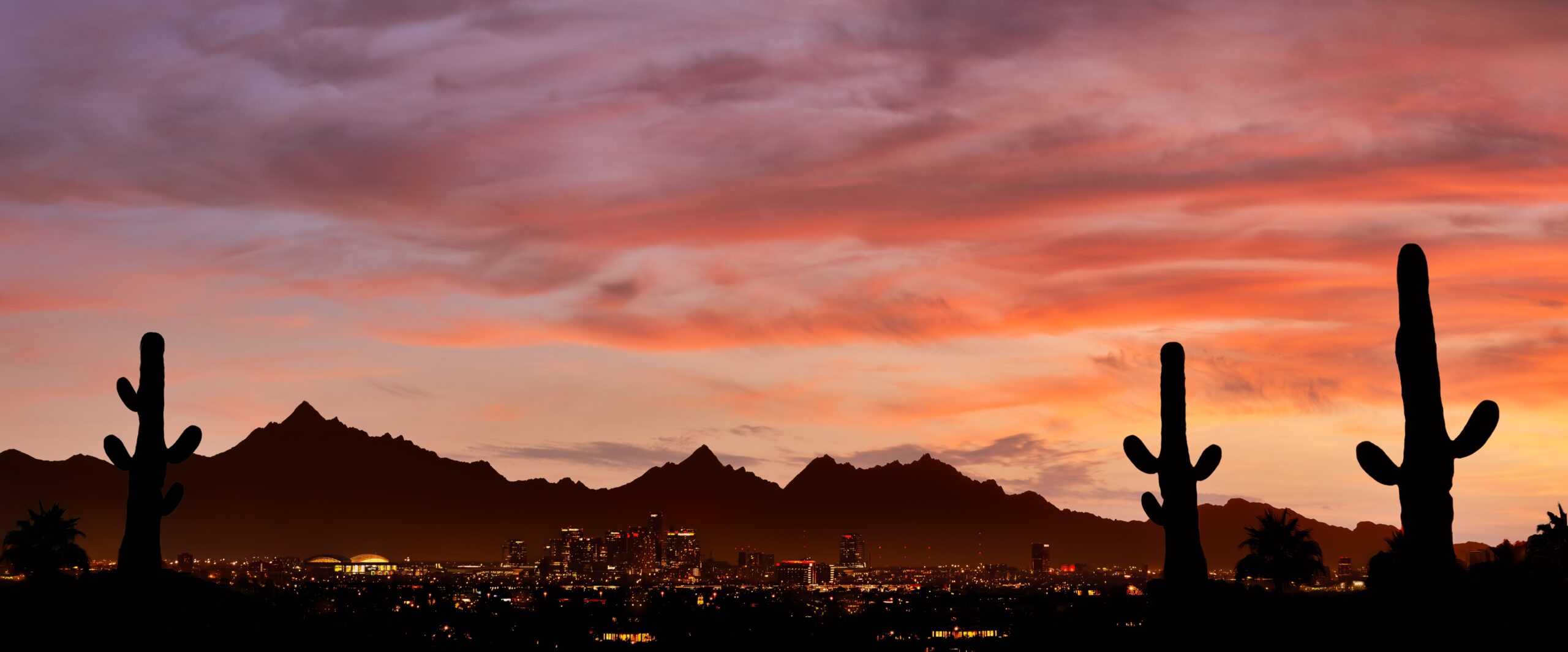 sunset in the desert with three shadowed cactuses in the foreground in arizona