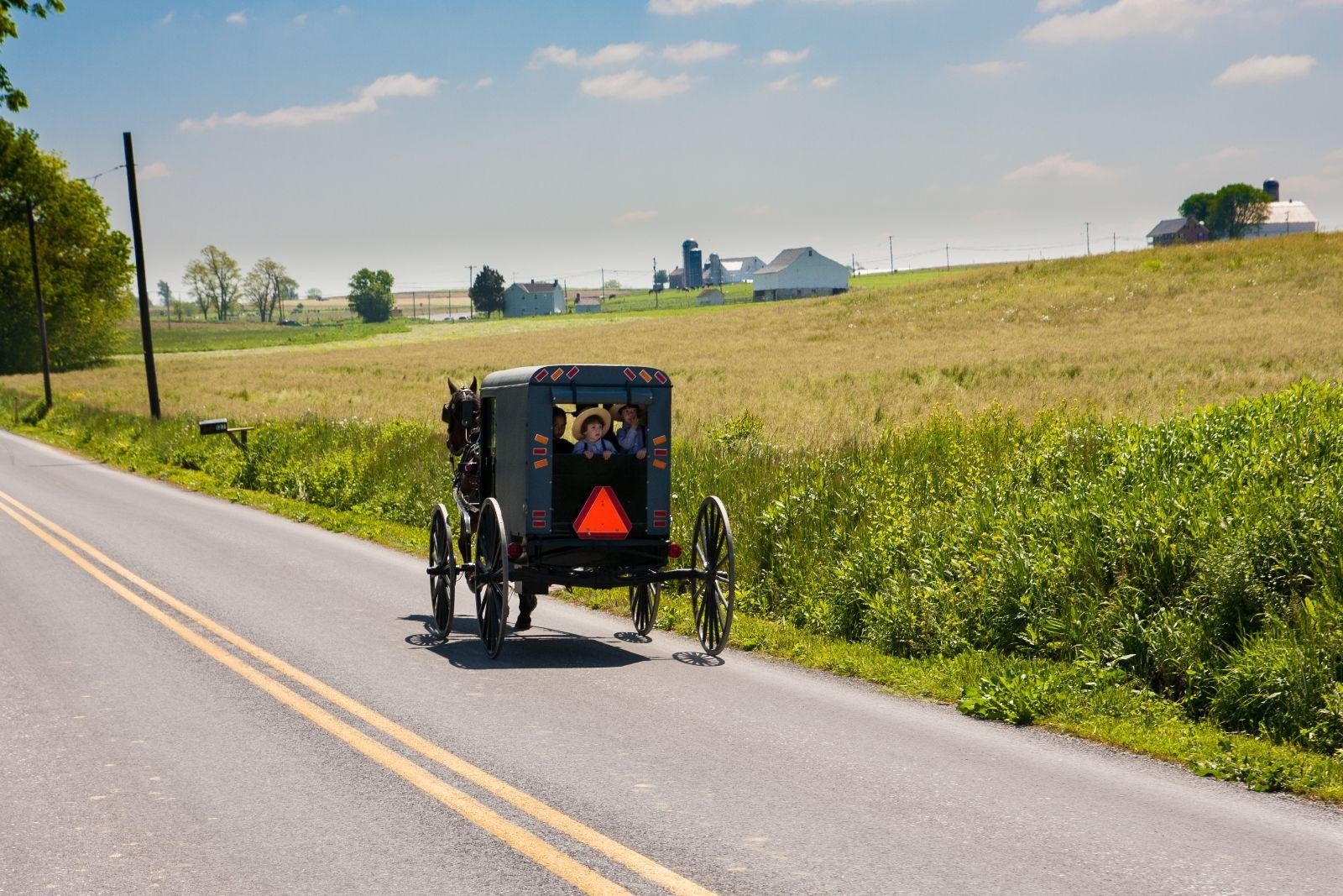 horse-led carriage in street