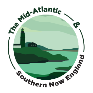 green illustration of lighthouse near ocean