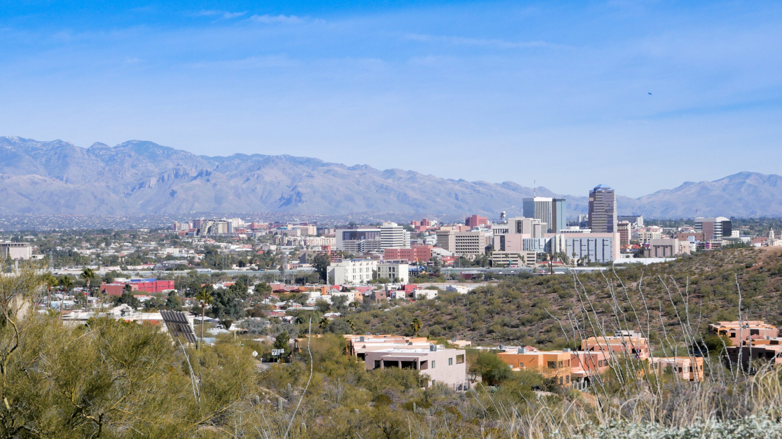 wide shot of city
