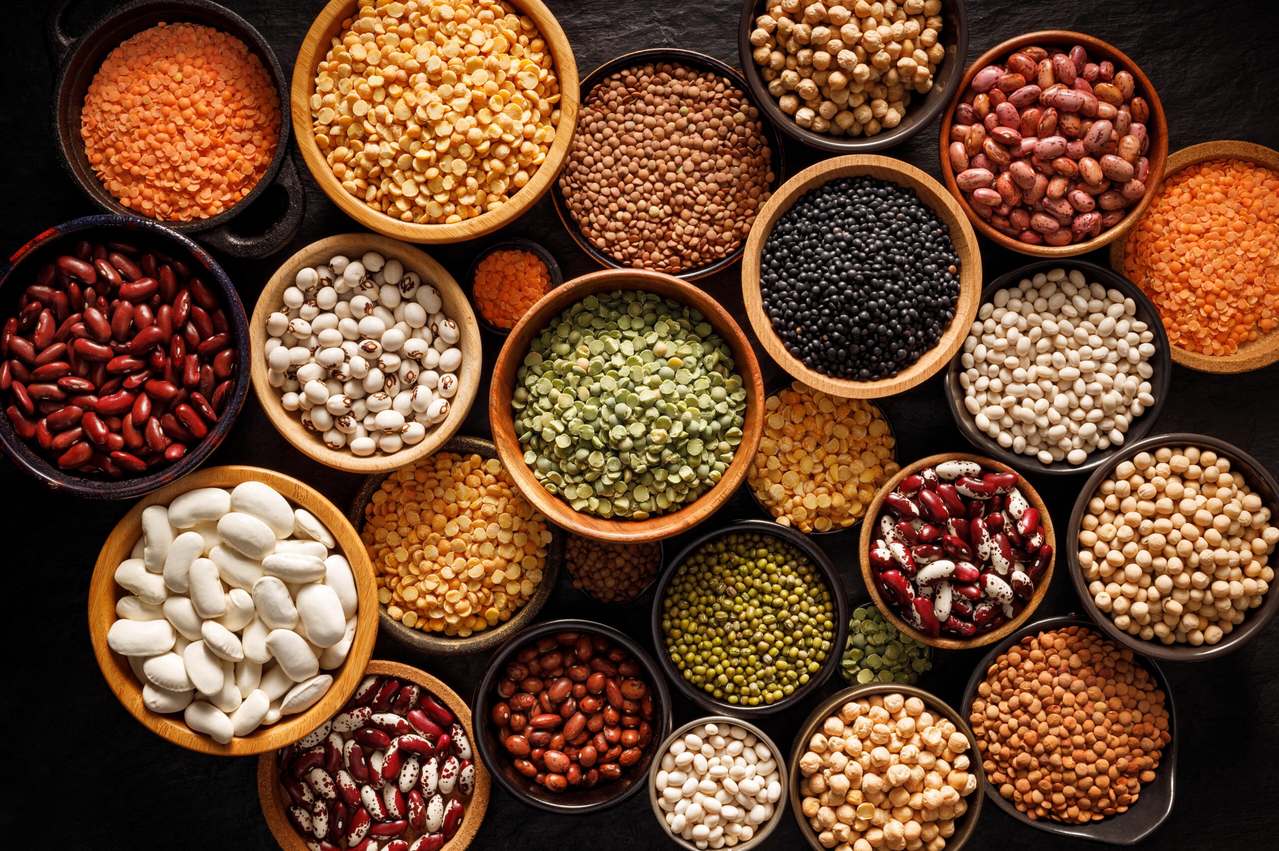 Women's Bean Project