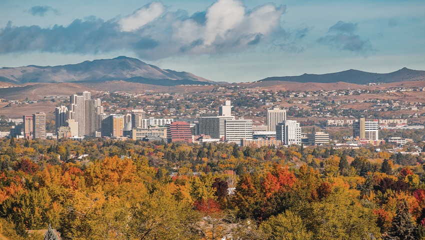 aerial view of cityscape behind trees