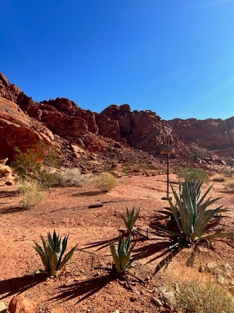 Valley of Fire outside Las Vegas
