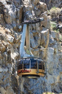 gold gondola