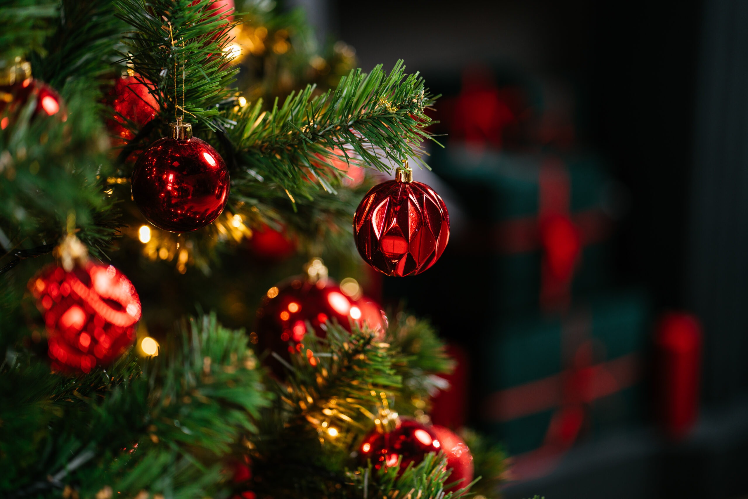 close up of christmas tree