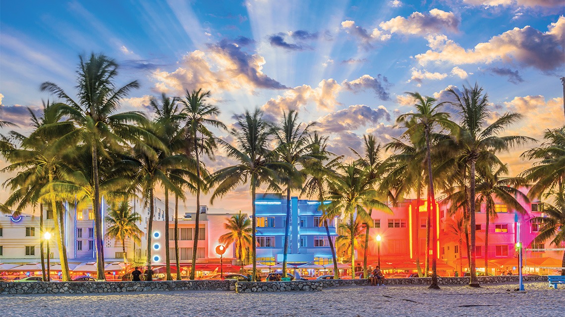 shot of city and palm trees