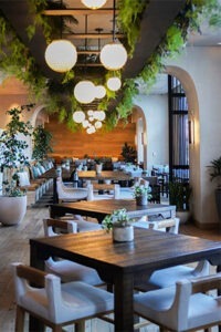 lobby with greenery
