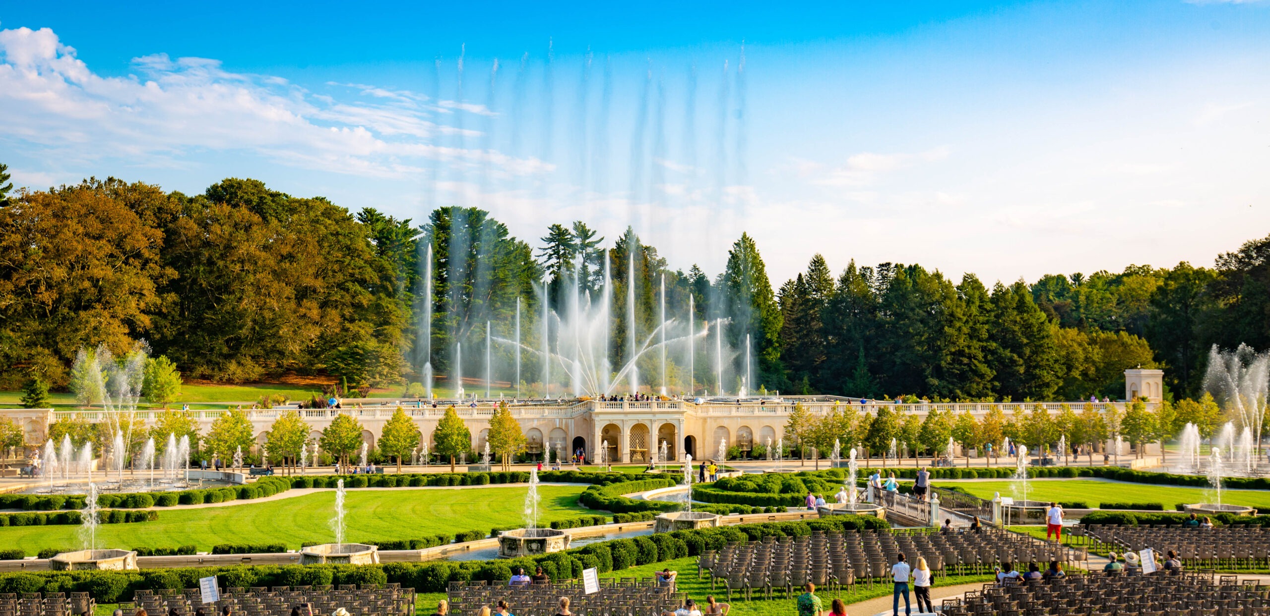 wide shot of park