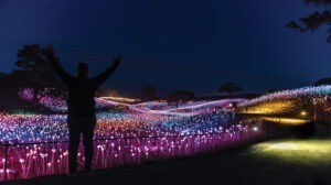 led lights on ground at night