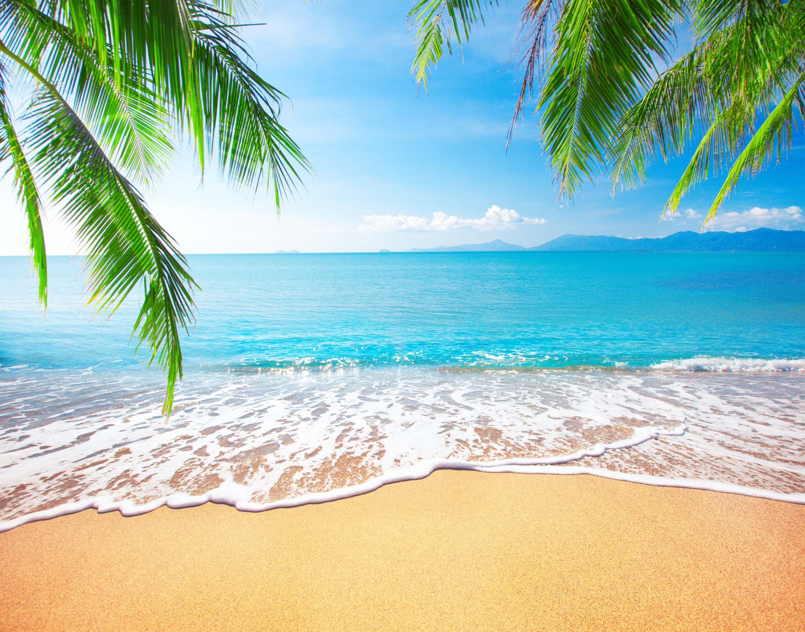 Tropical destinations in 2024