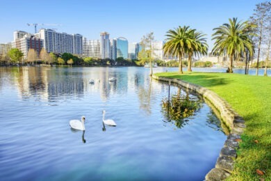 lake and park