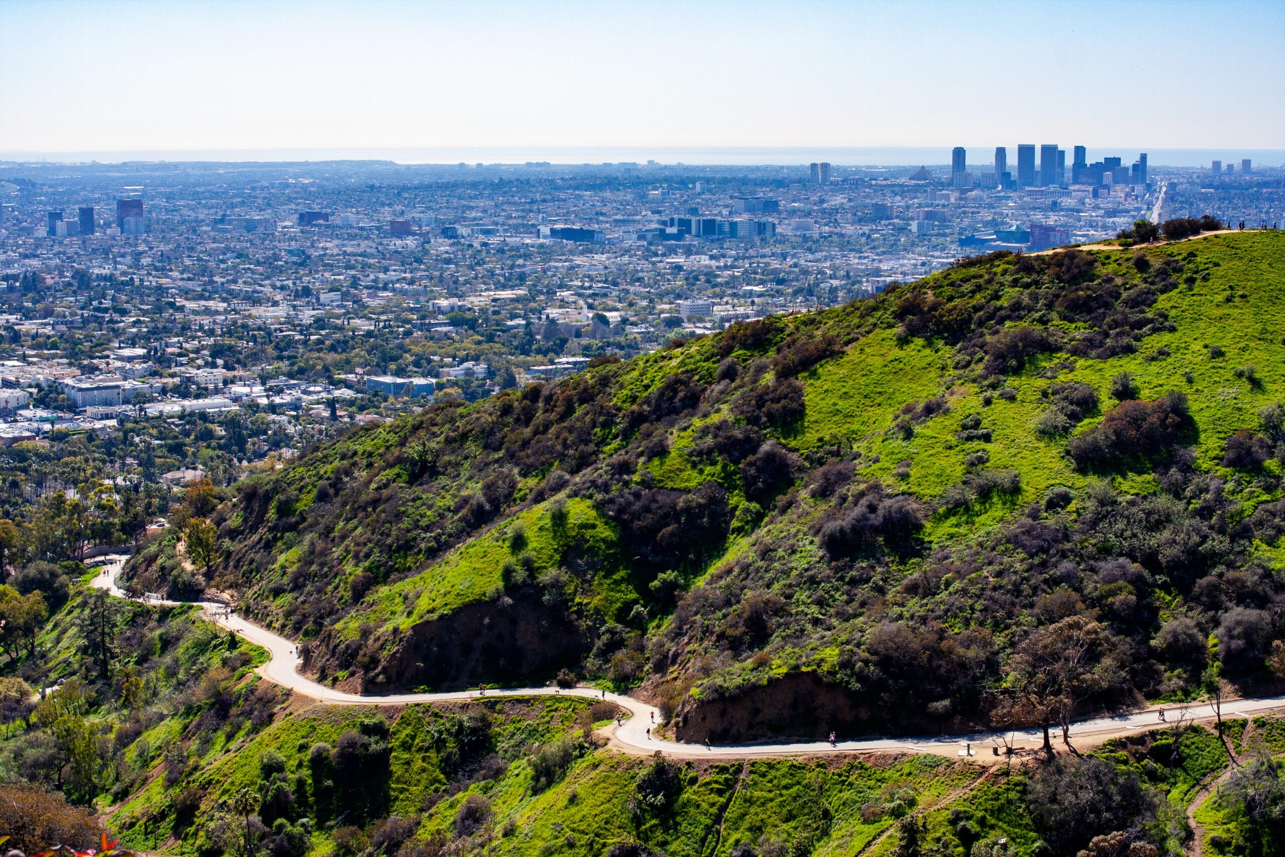 aerial shot of walking path at park