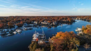 aerial shot of marina