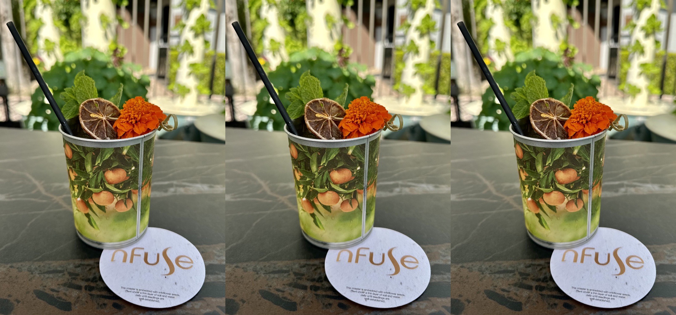Anaheim Marriott Carbon Neutral Cocktail video interview feature image