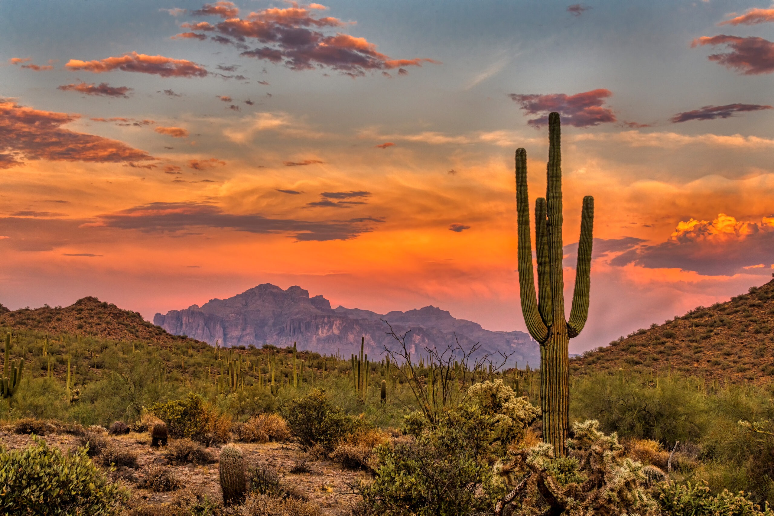 desert