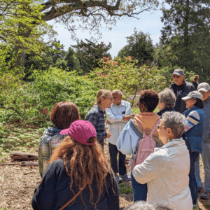 people in garden
