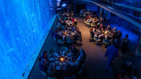 groups of people sitting at tables at Monterey Bay Aquarium