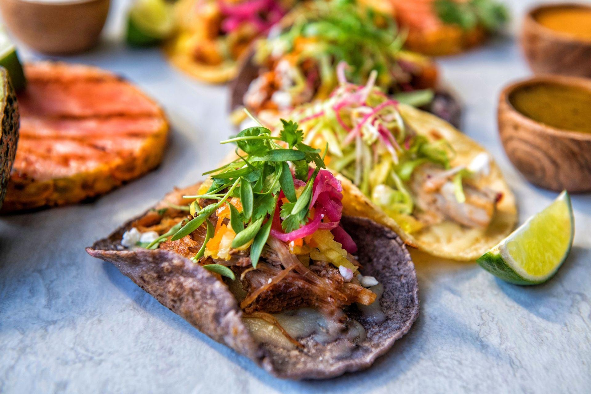 Cantina Monarca gourmet tacos