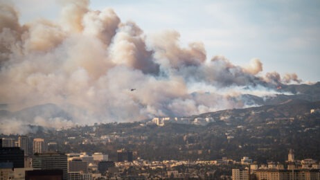 LA Fires Help feature image