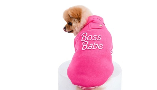 supplier image