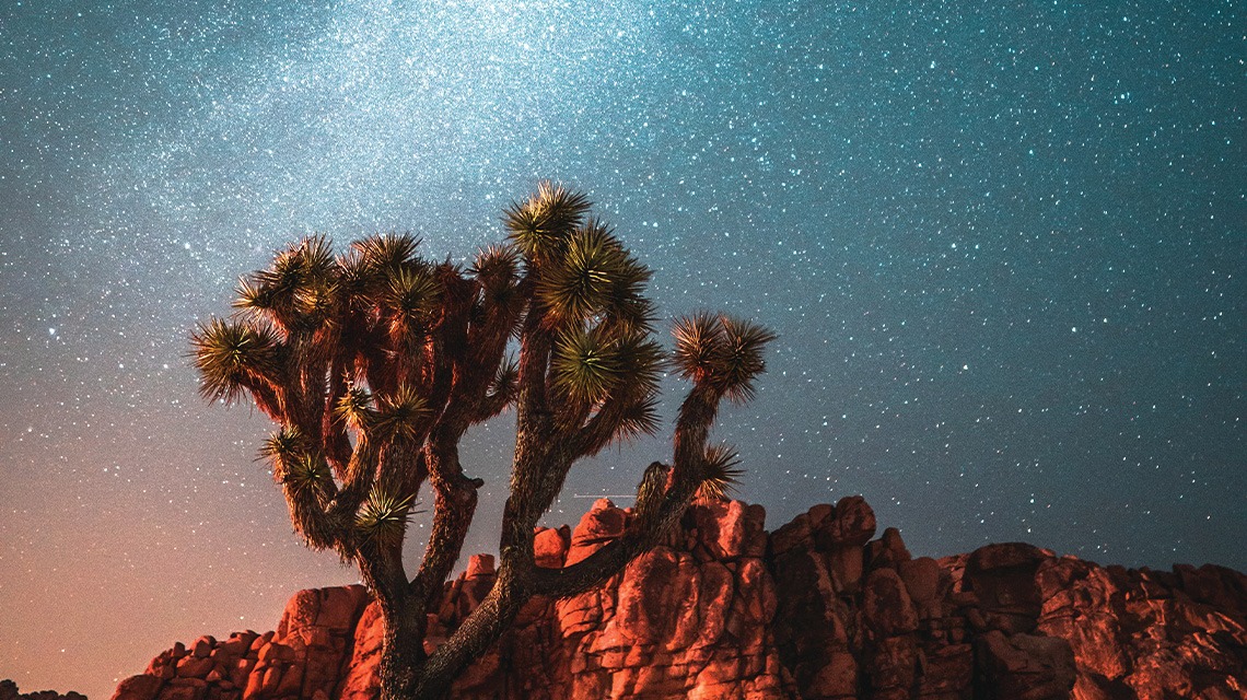 Landscape at Sensei Porcupine Creek
