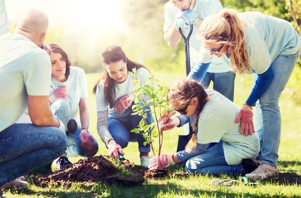 Volunteers planting trees