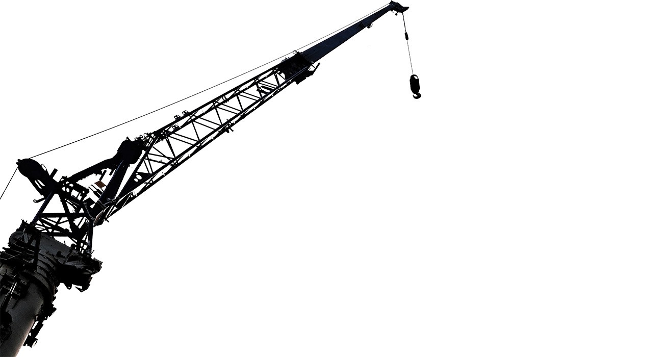 Silhouette of crane