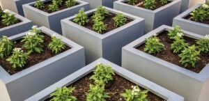Planter boxes