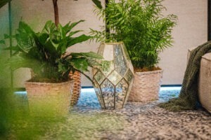 A lush green room from Cohera featured live plants, soft lighting and seating. 