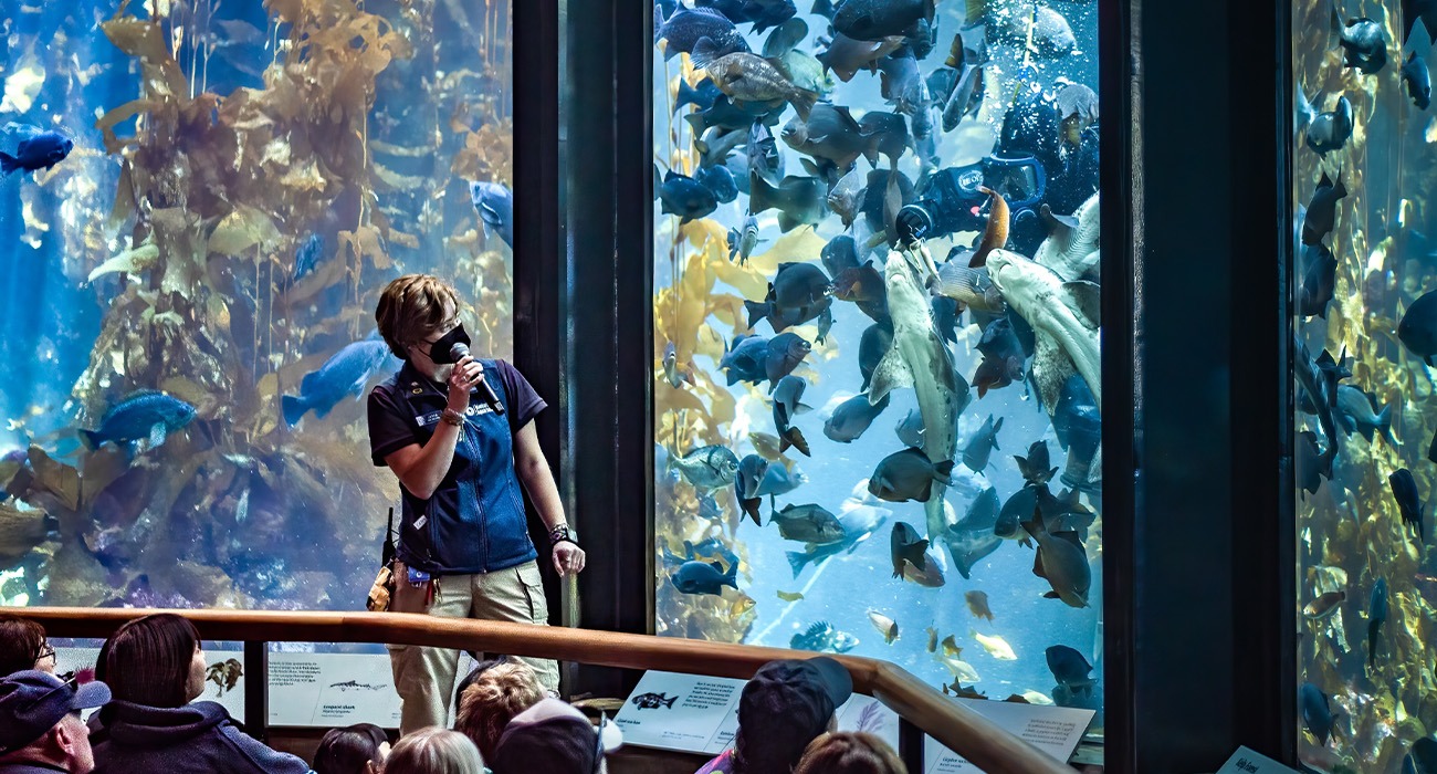 Person giving tour at Monterey Bay Aquarium