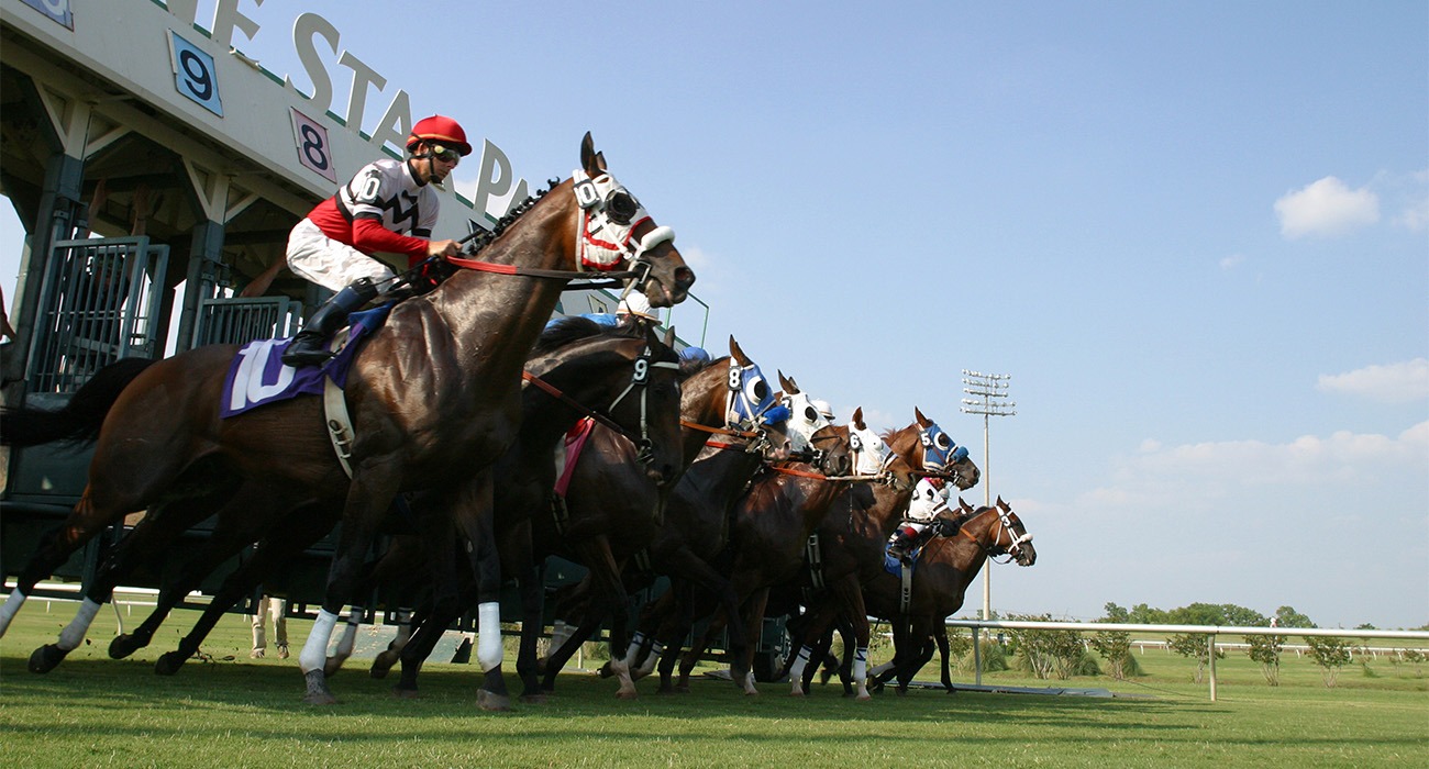 Horses racing at Lone Star Park
