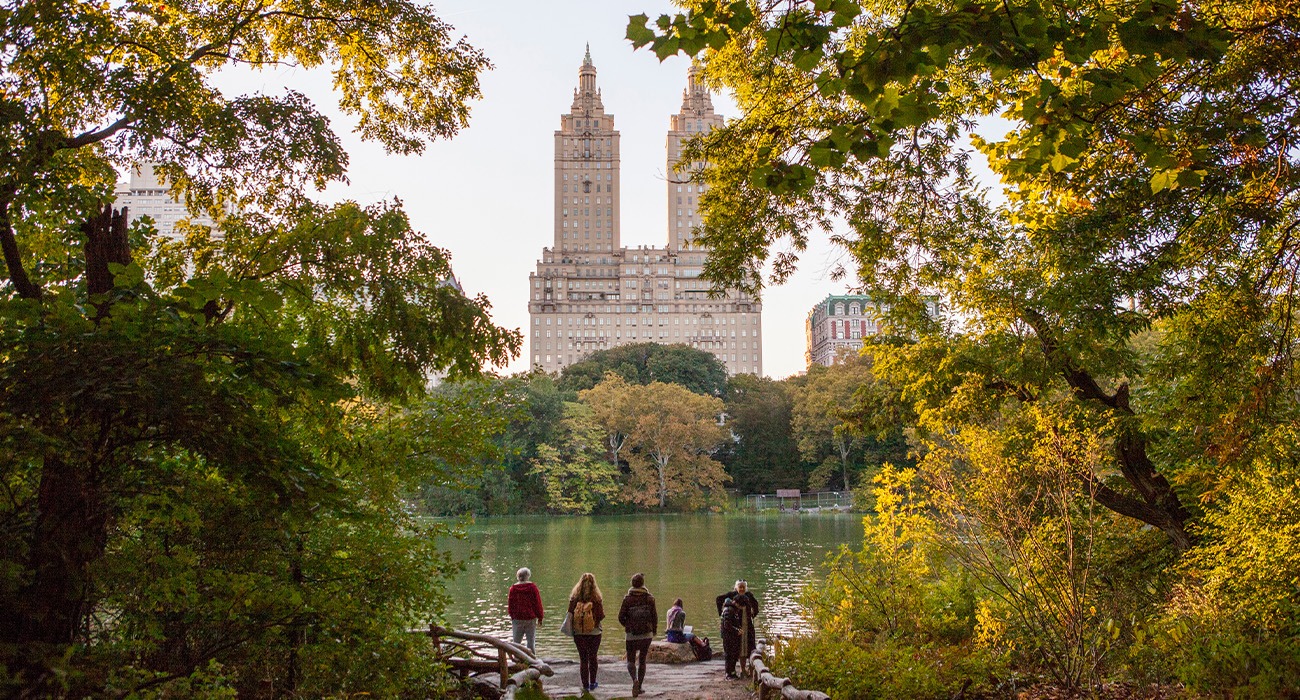 People walking around Central Park