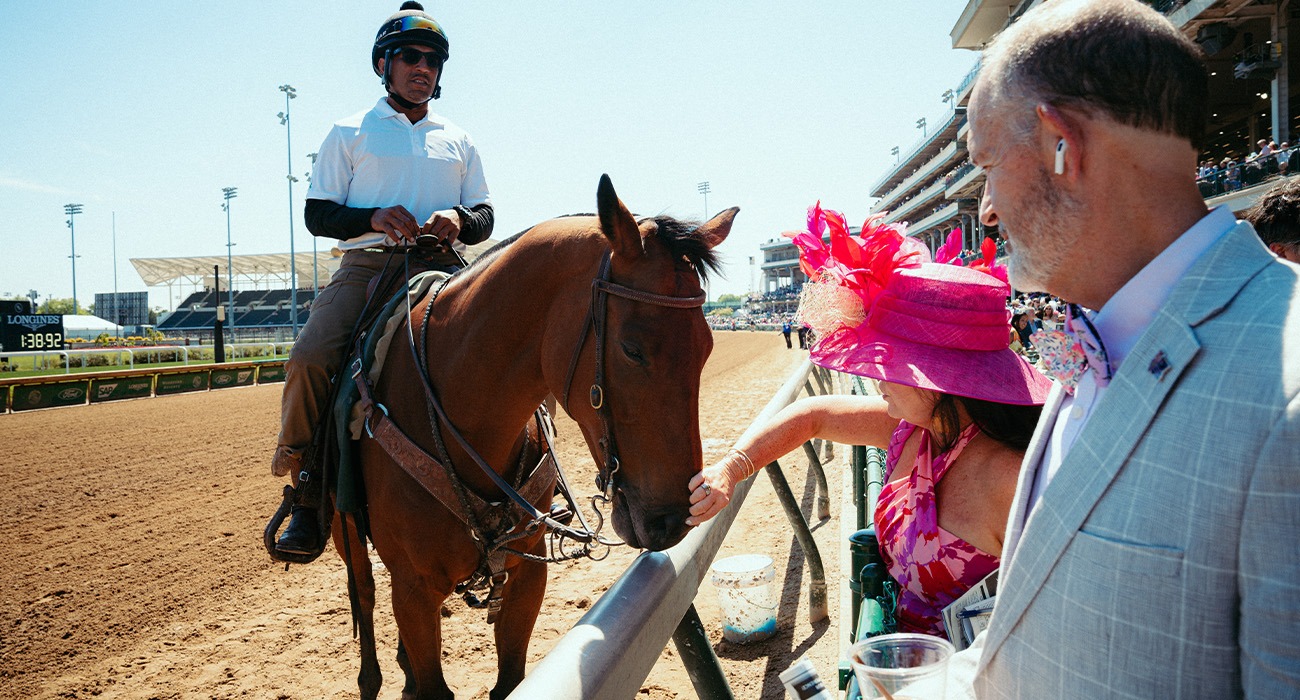 Woman petting horse