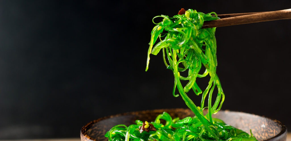 Seaweed