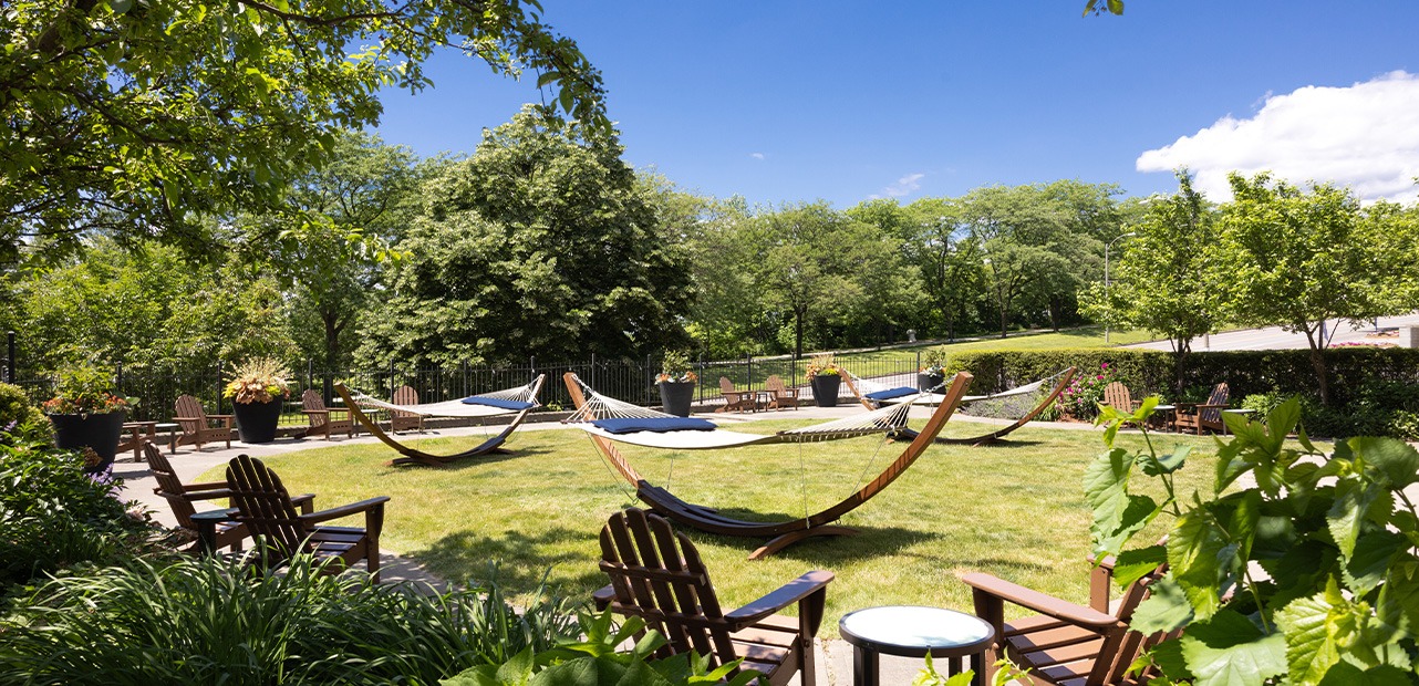 Hammocks at Hotel Champlain Burlington, Curio Collection by Hilton
